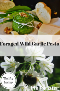 Wild garlic pesto