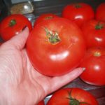 Massive Tomatoes @ Tiny Price