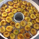 Plums in drier
