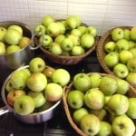 Apples, apples and …………. apples!