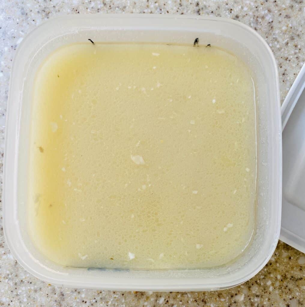 home made chicken stock in a plastic box