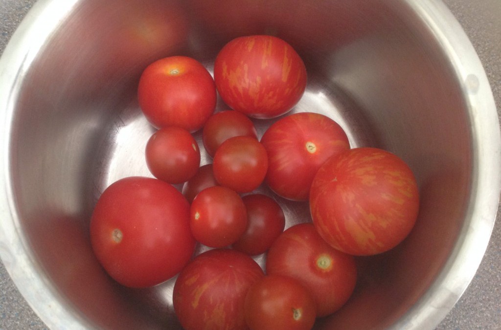 Fresh tomato soup, 10p homegrown, 18p using tinned