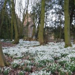 Snowdrops, friends and being perfect