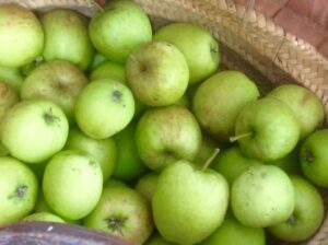 Fiesta apples