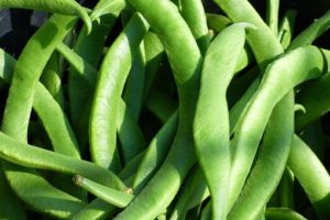 5 things to save money in the garden - runner beans