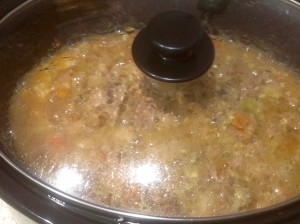 turkey casserole/stew