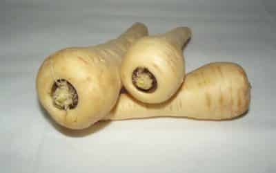 cooking parsnips