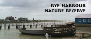 Rye nature reserve