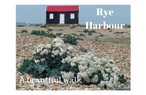 Rye harbour