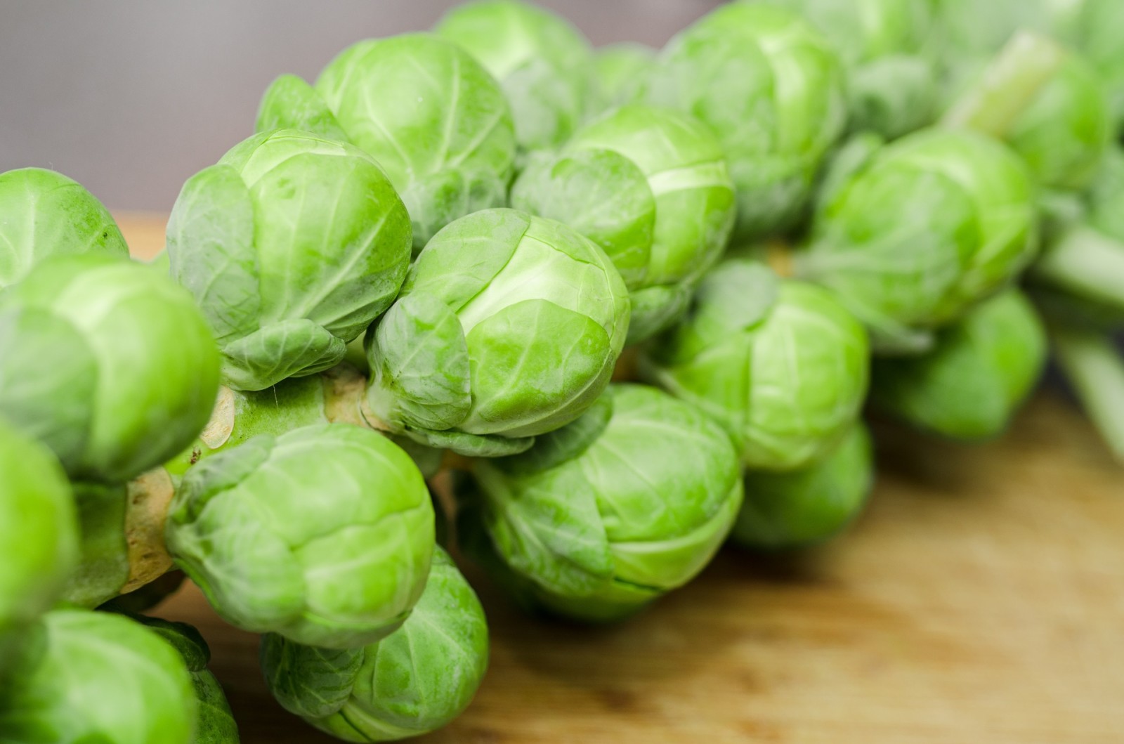 Sprouts 