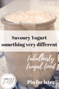 savoury yogurt