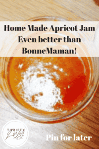 home made apricot jam - better than Bonne Maman