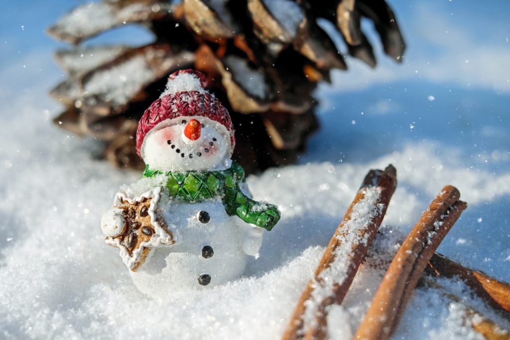 snowman enjoying a vegetarian christmas