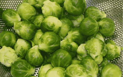 cooked brussel sprouts