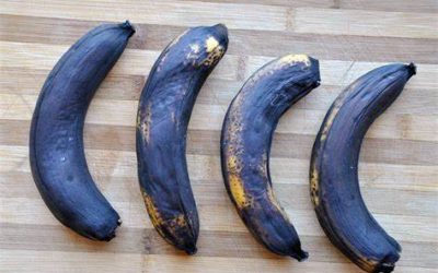 Love your Leftovers – Bananas