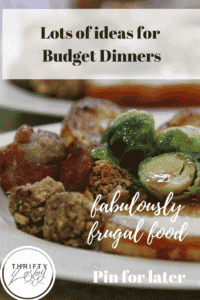 lots of ideas for budget dinners