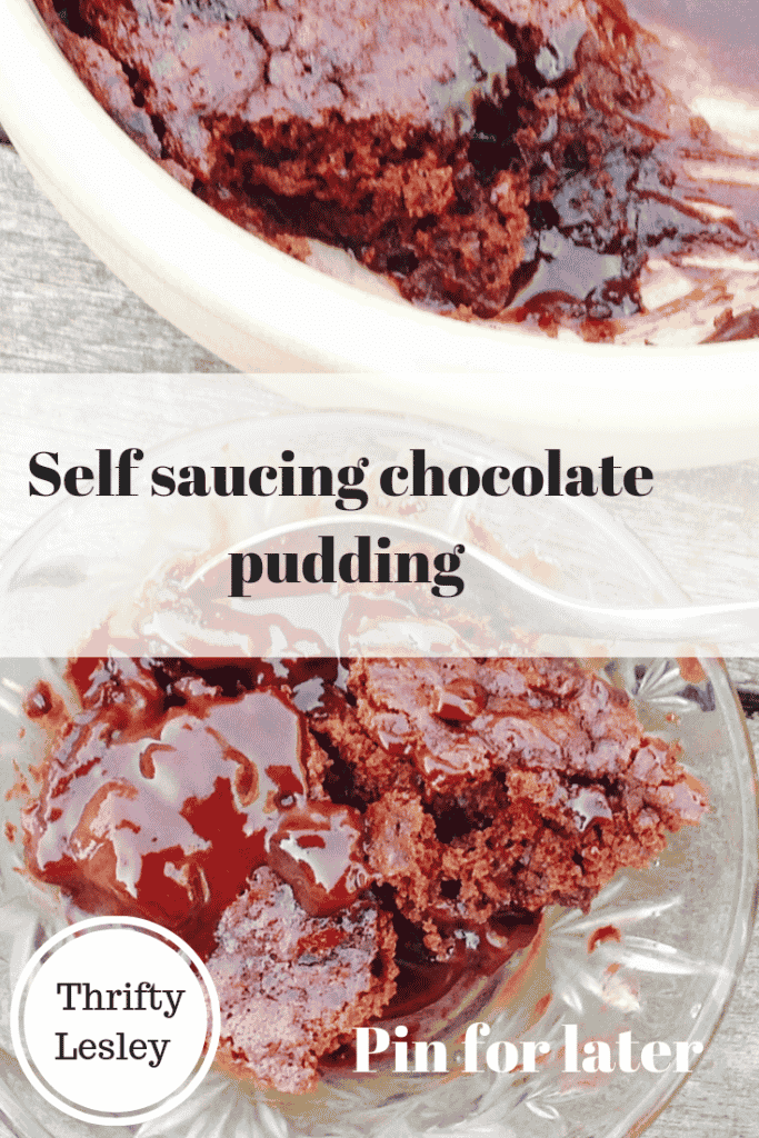 self-saucing-chocolate-pudding