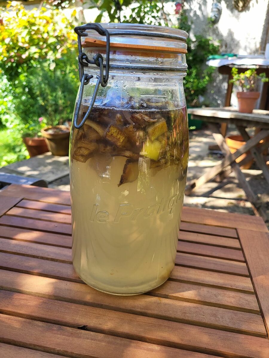 banana skins in a jug of water to make fertiliser. 