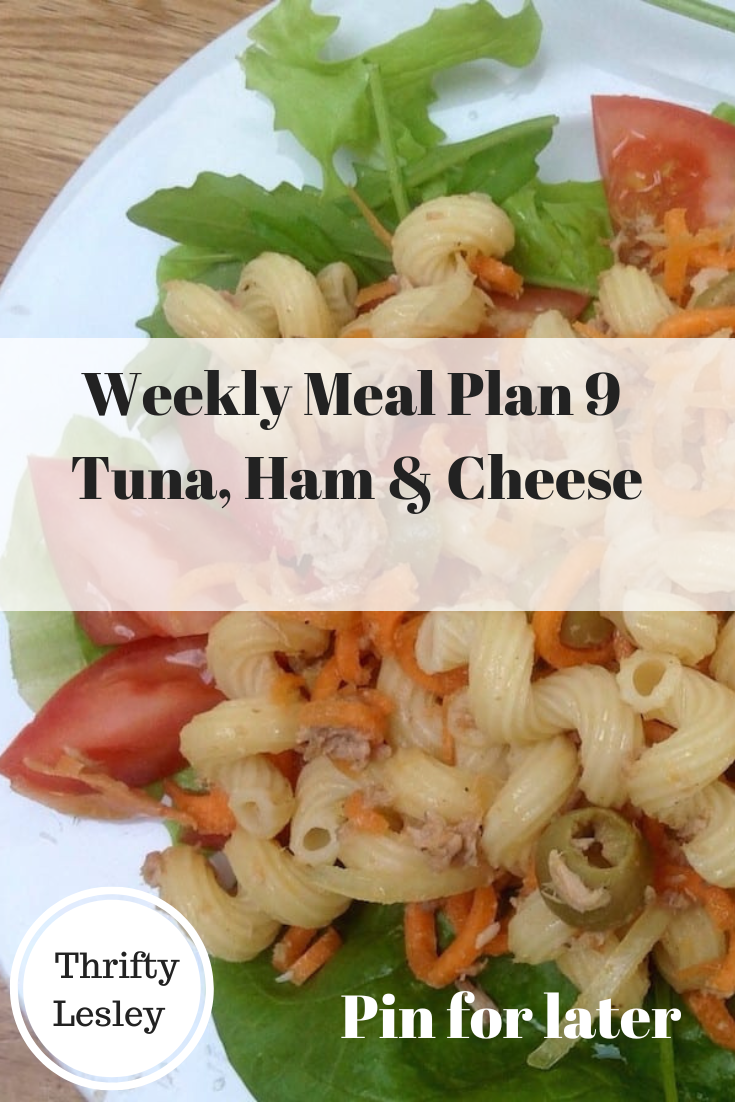 Weekly Meal Plan 9 - image of tuna pasta salad