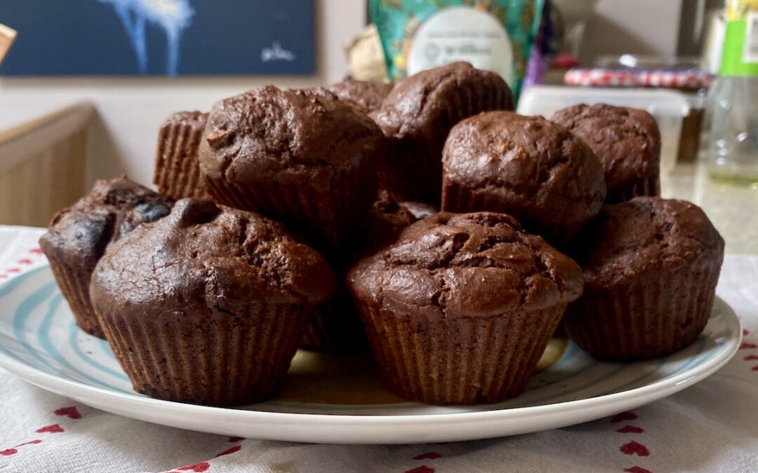 Chocolate Muffins. Quick, easy, great for packups and very cheap