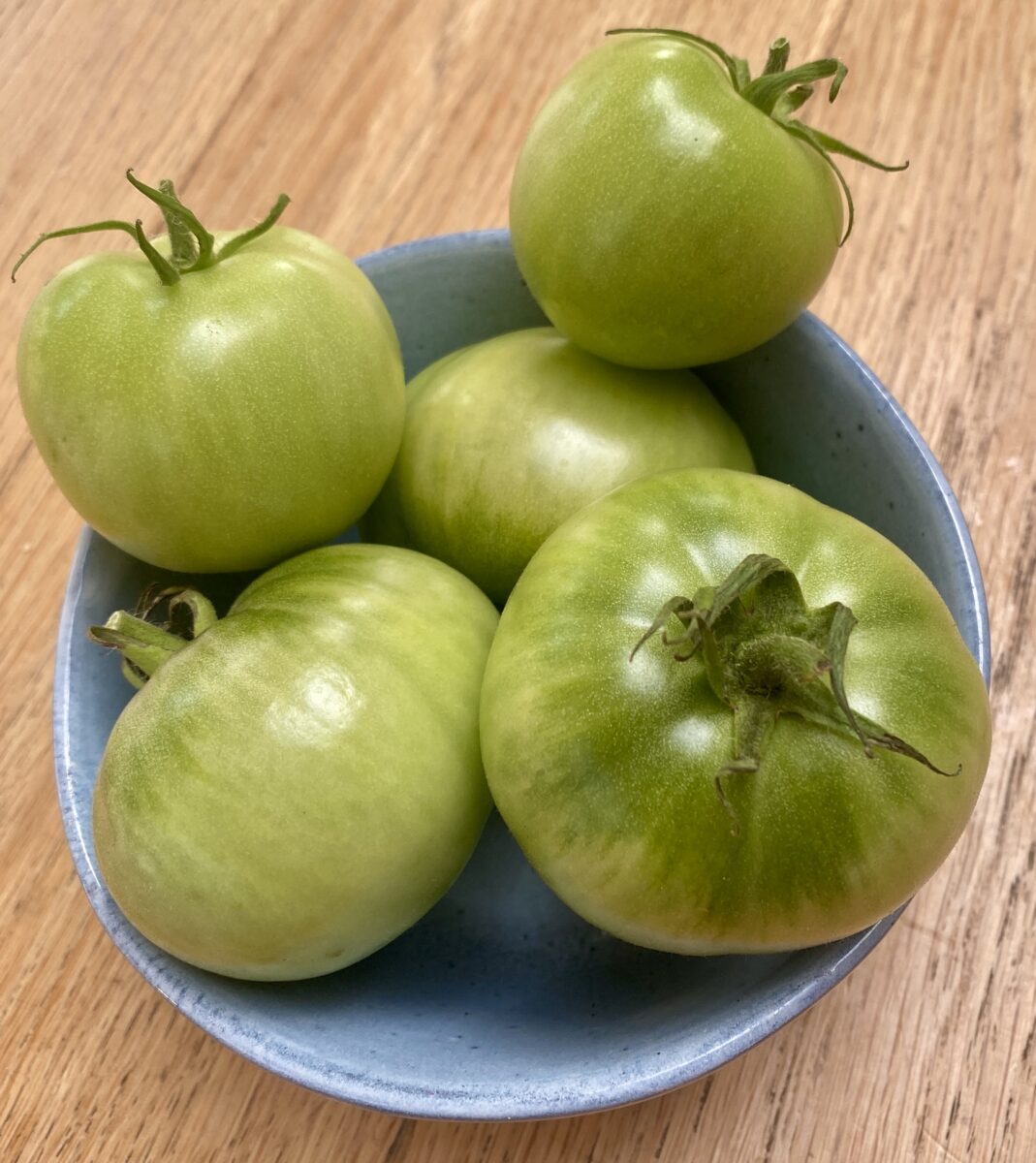 green tomatoes n a blue bowl. 