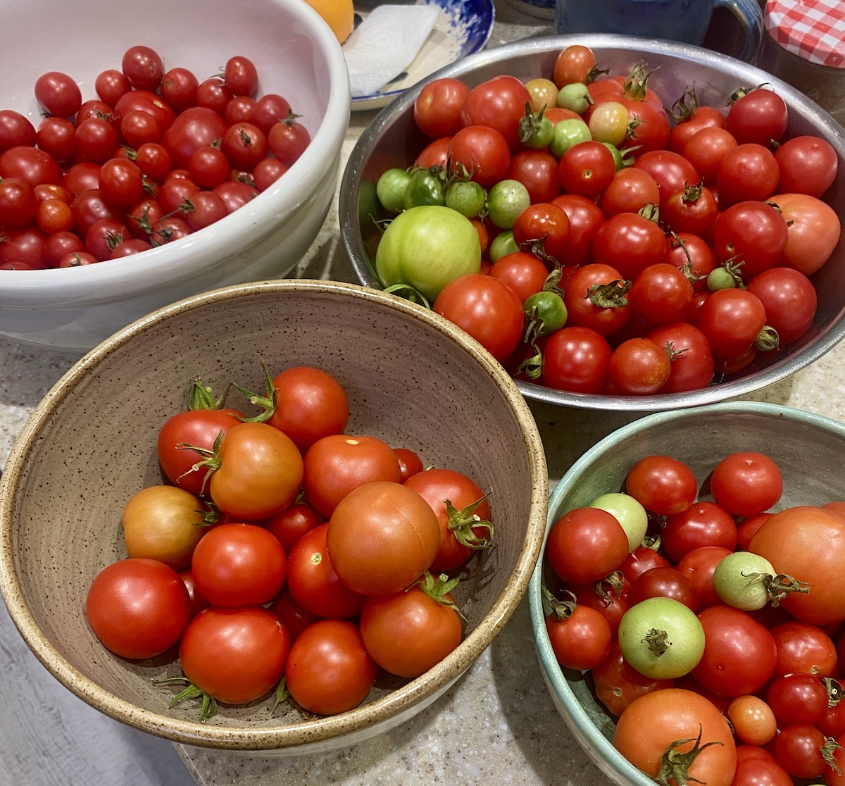 bowls of fresh. tomatoes.