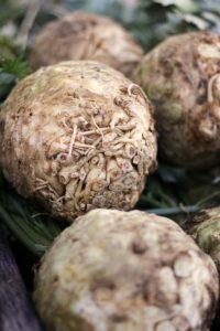 several knobby celeriac roots.