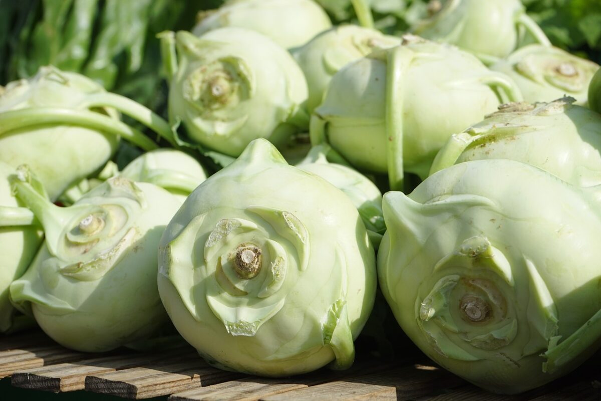 a pile of kohlrabi.